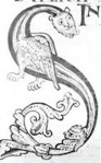 engolar