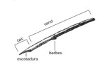 escotadura