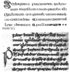 escriptura-irlandesa-370×245-1