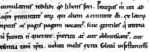 escriptura-pregotica