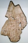 escriptura en ossos&nbsp;oraculars